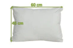 OUTFLEXX Dekokissen, 10014 Nature, Sunbrella, 60 X 45 Cm, Bei 40 °C Waschbar, Z.B. Passend Zu Lounge 21865/23403 5 OUTFLEXX Dekokissen, 10014 Nature, Sunbrella, 60 X 45 Cm, Bei 40 °C Waschbar, Z.B. Passend Zu Lounge 21865/23403 -Garden Ease Wohnen Verkaufe 23456 mass.jpg